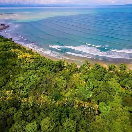 Four Monkeys Eco Lodge Jungle & Beach - The House Cabo Matapalo المظهر الخارجي الصورة