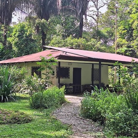 Four Monkeys Eco Lodge Jungle & Beach - The House Cabo Matapalo المظهر الخارجي الصورة