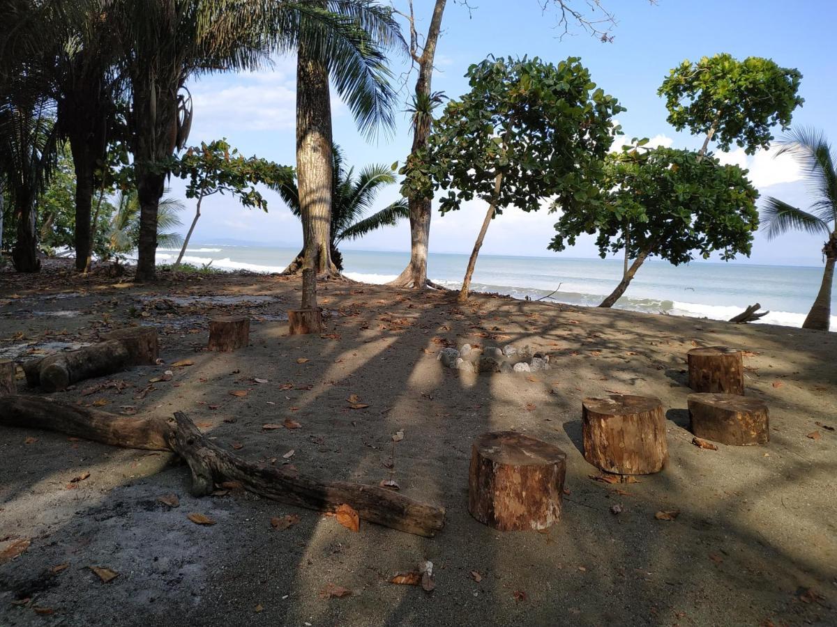Four Monkeys Eco Lodge Jungle & Beach - The House Cabo Matapalo المظهر الخارجي الصورة