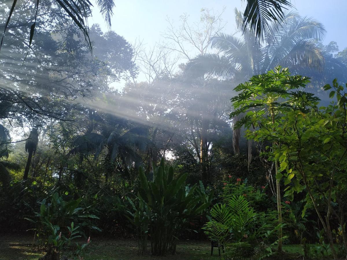 Four Monkeys Eco Lodge Jungle & Beach - The House Cabo Matapalo المظهر الخارجي الصورة