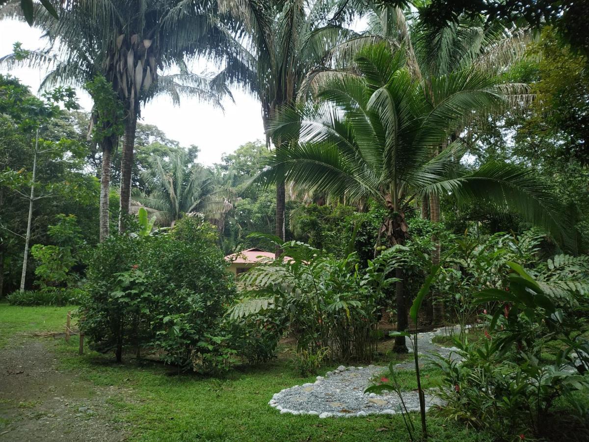 Four Monkeys Eco Lodge Jungle & Beach - The House Cabo Matapalo المظهر الخارجي الصورة