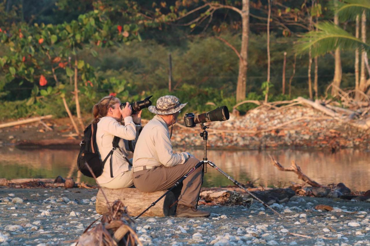 Four Monkeys Eco Lodge Jungle & Beach - The House Cabo Matapalo المظهر الخارجي الصورة