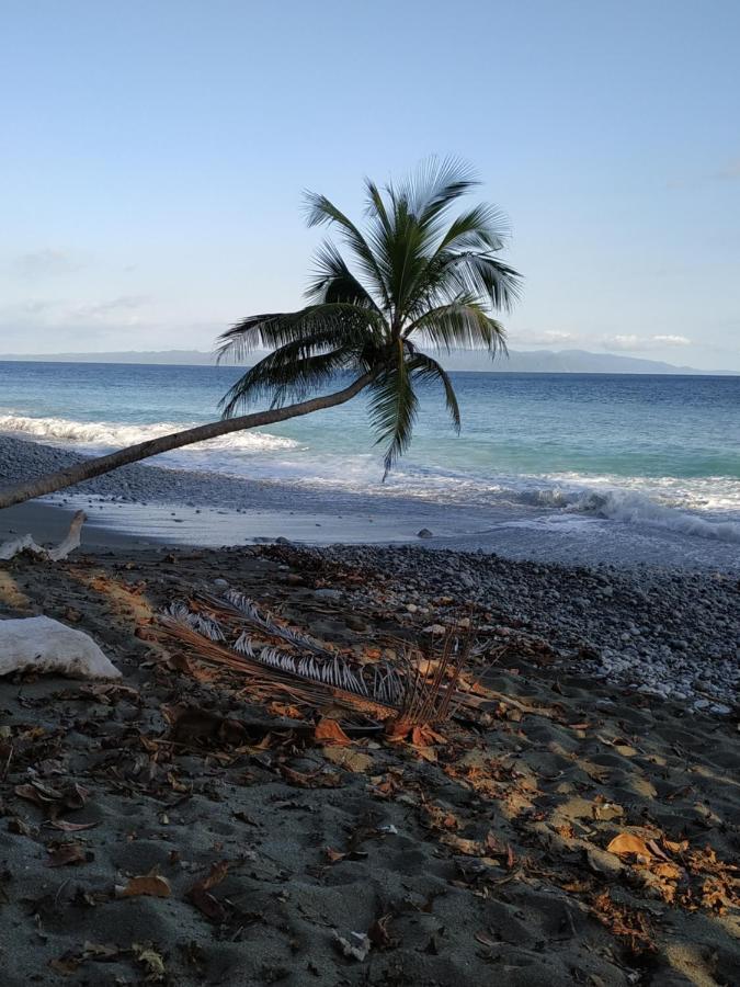 Four Monkeys Eco Lodge Jungle & Beach - The House Cabo Matapalo المظهر الخارجي الصورة