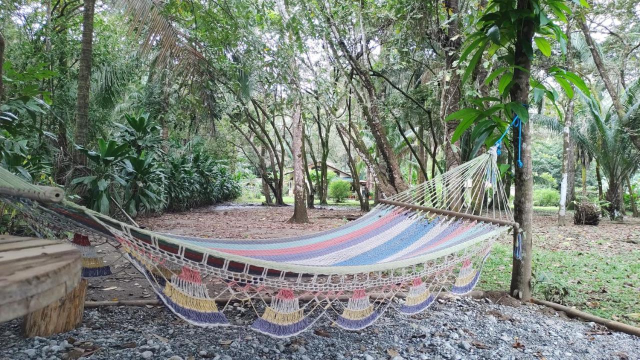 Four Monkeys Eco Lodge Jungle & Beach - The House Cabo Matapalo المظهر الخارجي الصورة