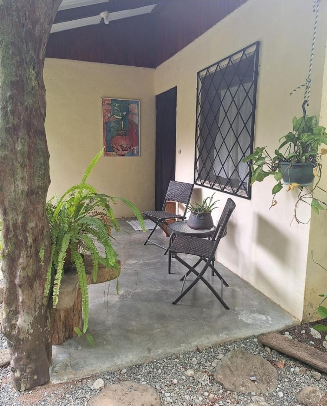 Four Monkeys Eco Lodge Jungle & Beach - The House Cabo Matapalo المظهر الخارجي الصورة
