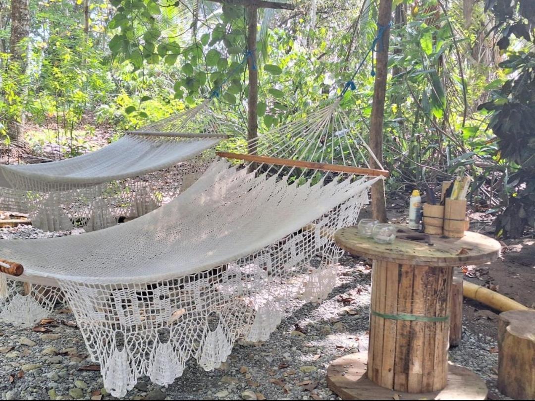 Four Monkeys Eco Lodge Jungle & Beach - The House Cabo Matapalo المظهر الخارجي الصورة