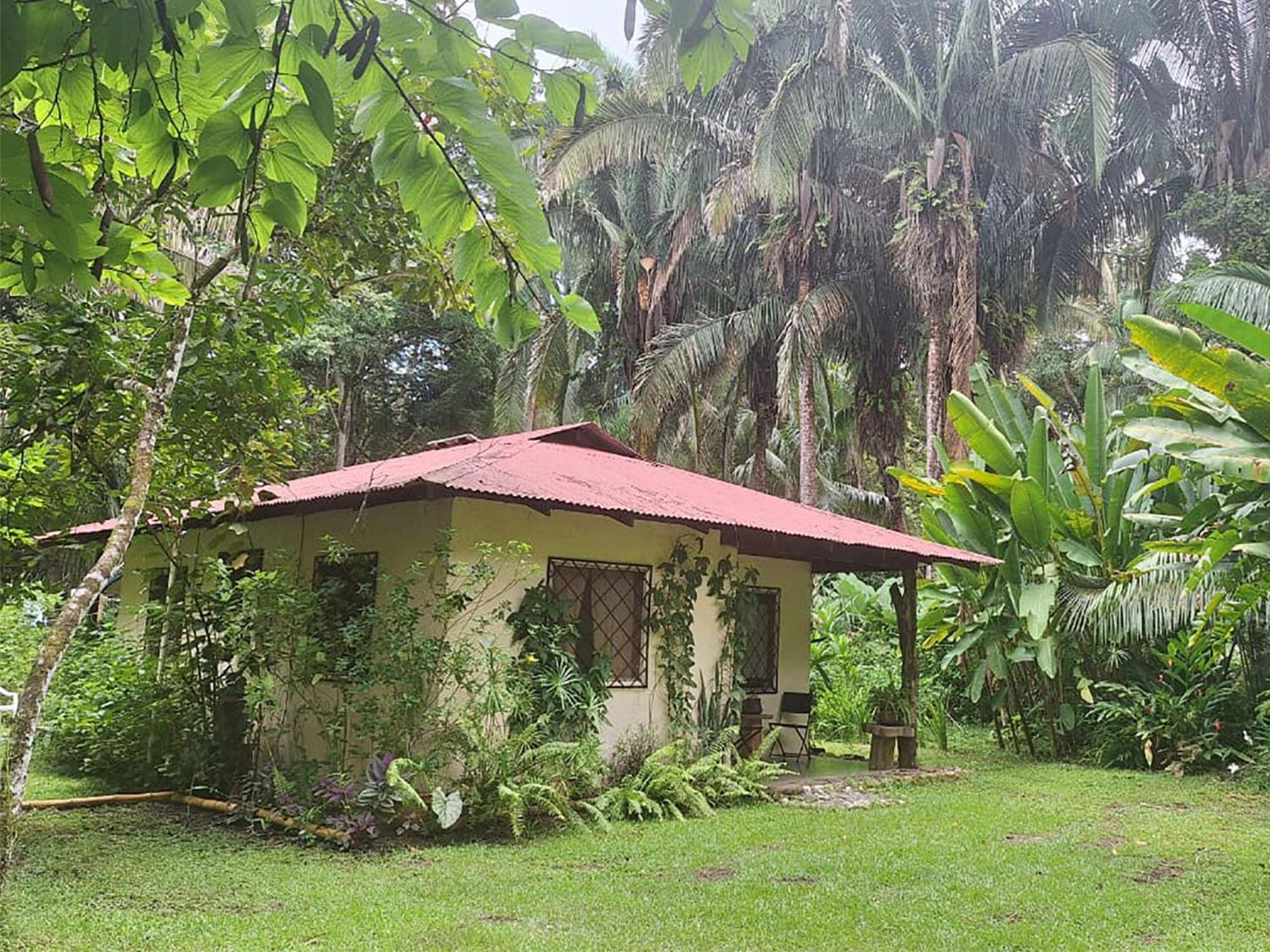 Four Monkeys Eco Lodge Jungle & Beach - The House Cabo Matapalo المظهر الخارجي الصورة