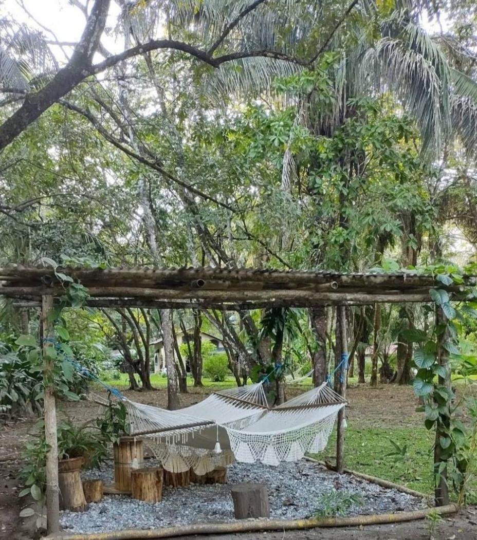 Four Monkeys Eco Lodge Jungle & Beach - The House Cabo Matapalo المظهر الخارجي الصورة