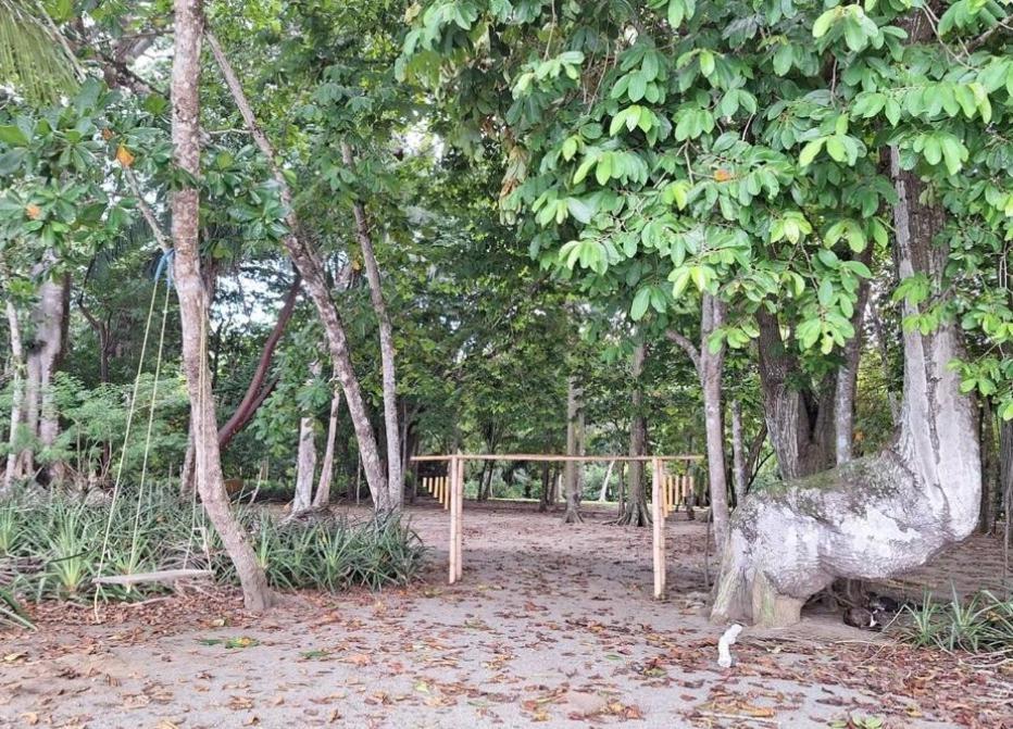 Four Monkeys Eco Lodge Jungle & Beach - The House Cabo Matapalo المظهر الخارجي الصورة
