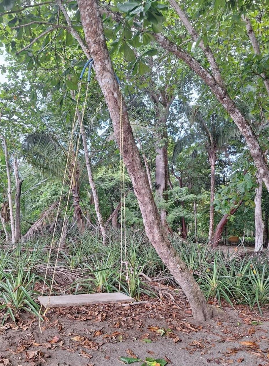 Four Monkeys Eco Lodge Jungle & Beach - The House Cabo Matapalo المظهر الخارجي الصورة