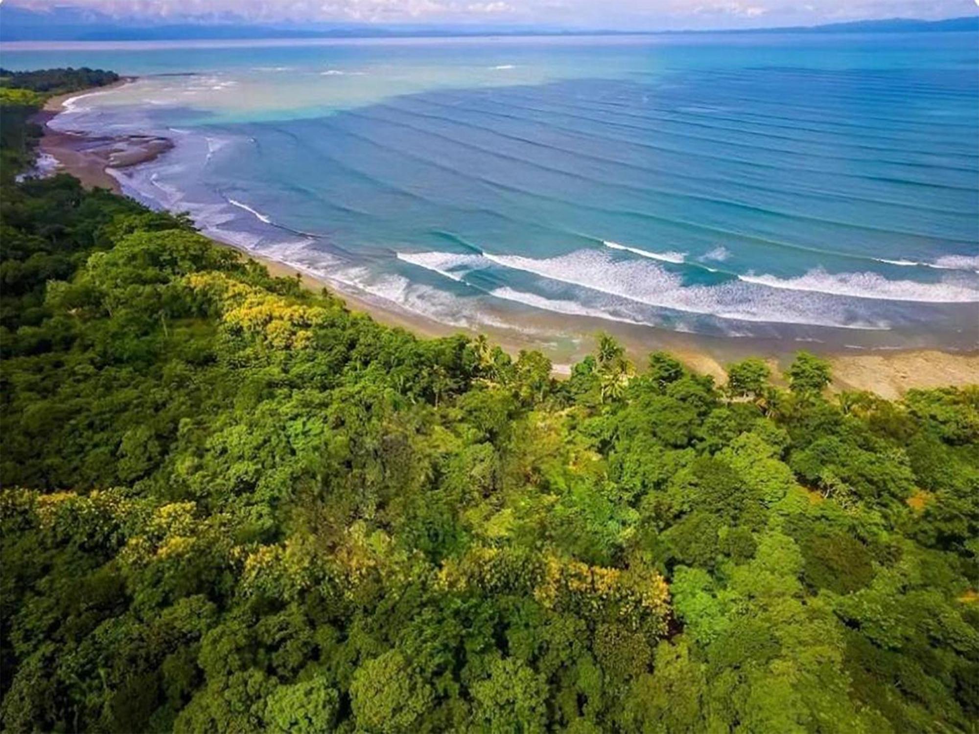 Four Monkeys Eco Lodge Jungle & Beach - The House Cabo Matapalo المظهر الخارجي الصورة