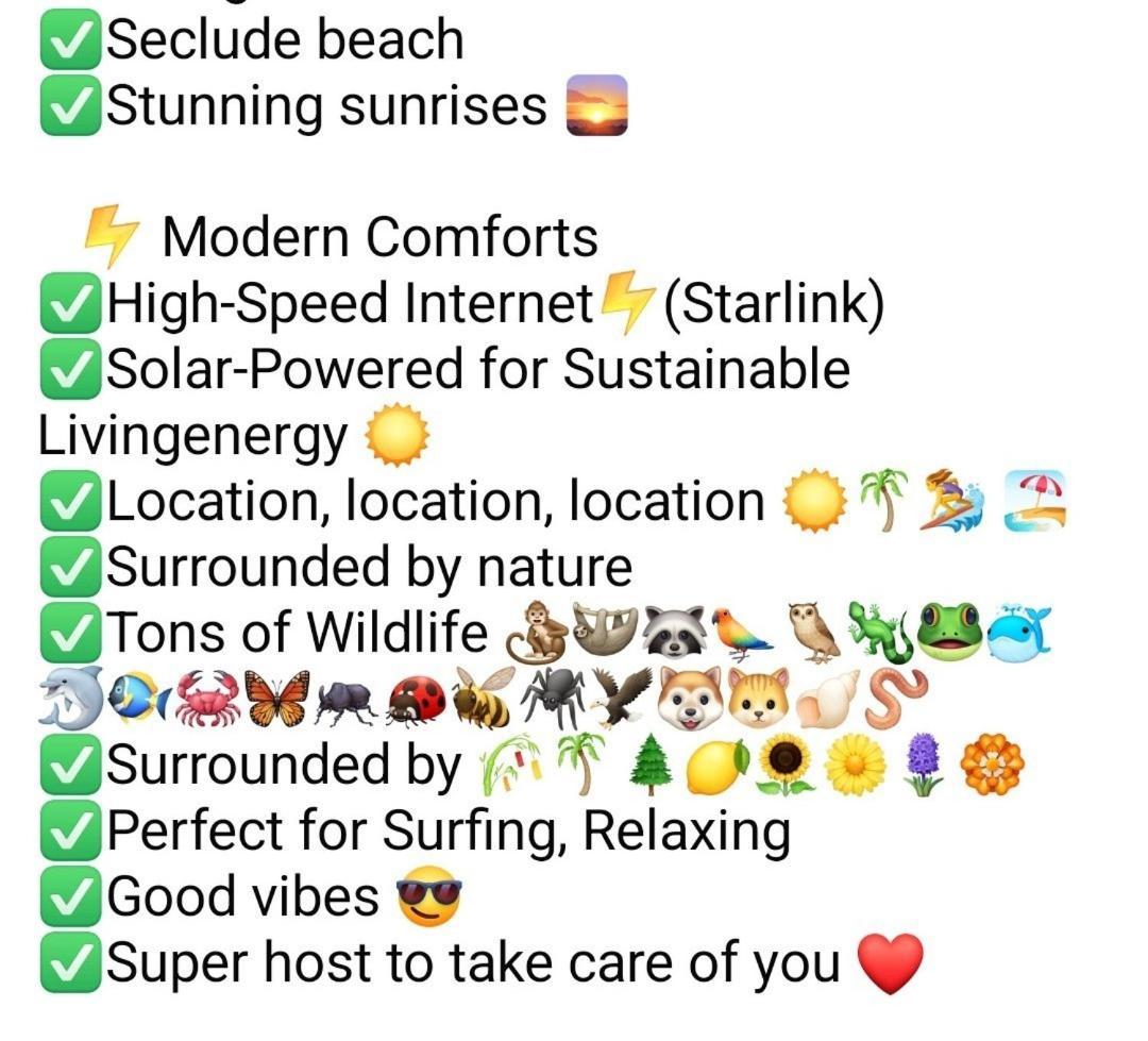 Four Monkeys Eco Lodge Jungle & Beach - The House Cabo Matapalo المظهر الخارجي الصورة