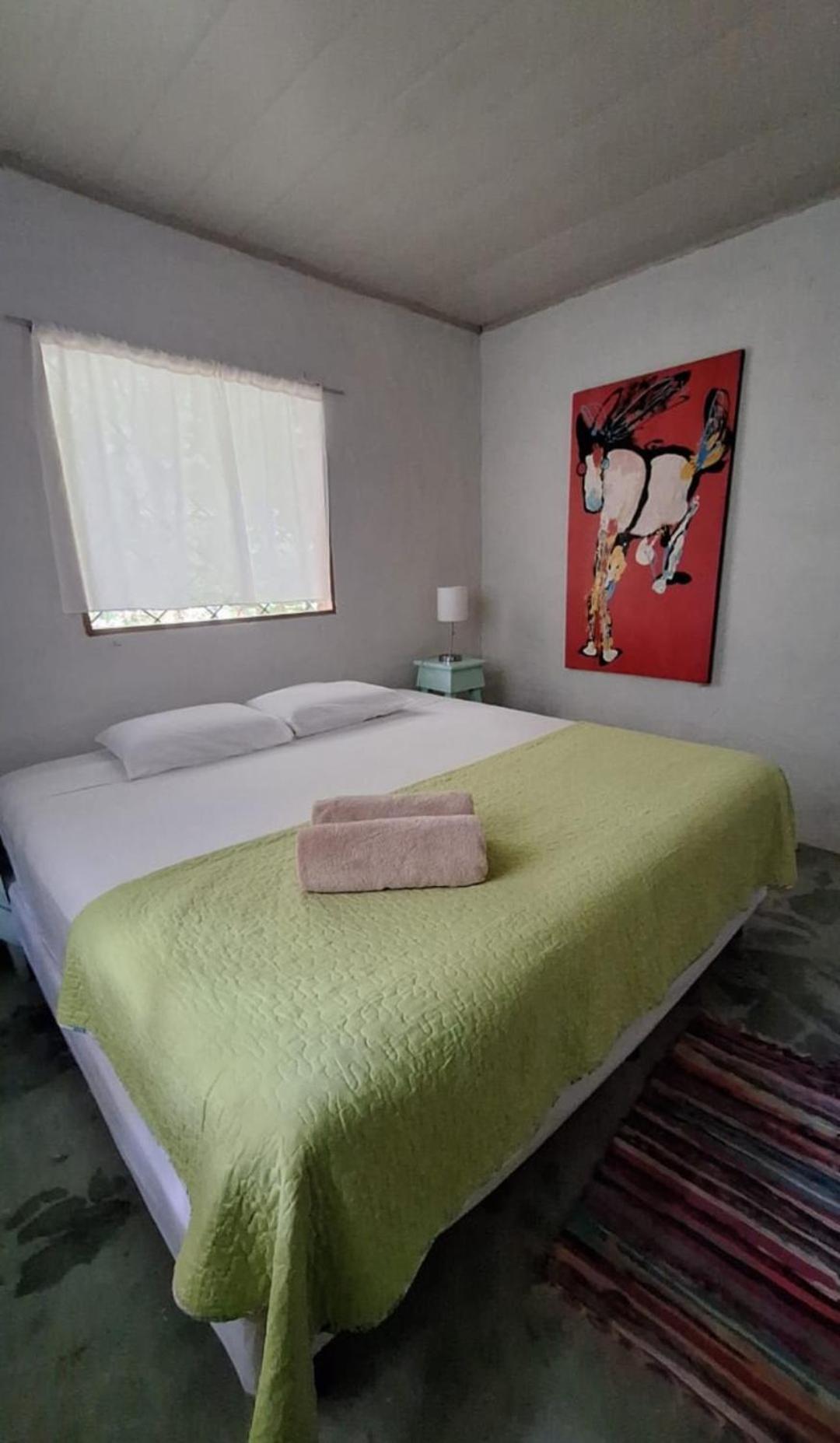 Four Monkeys Eco Lodge Jungle & Beach - The House Cabo Matapalo المظهر الخارجي الصورة