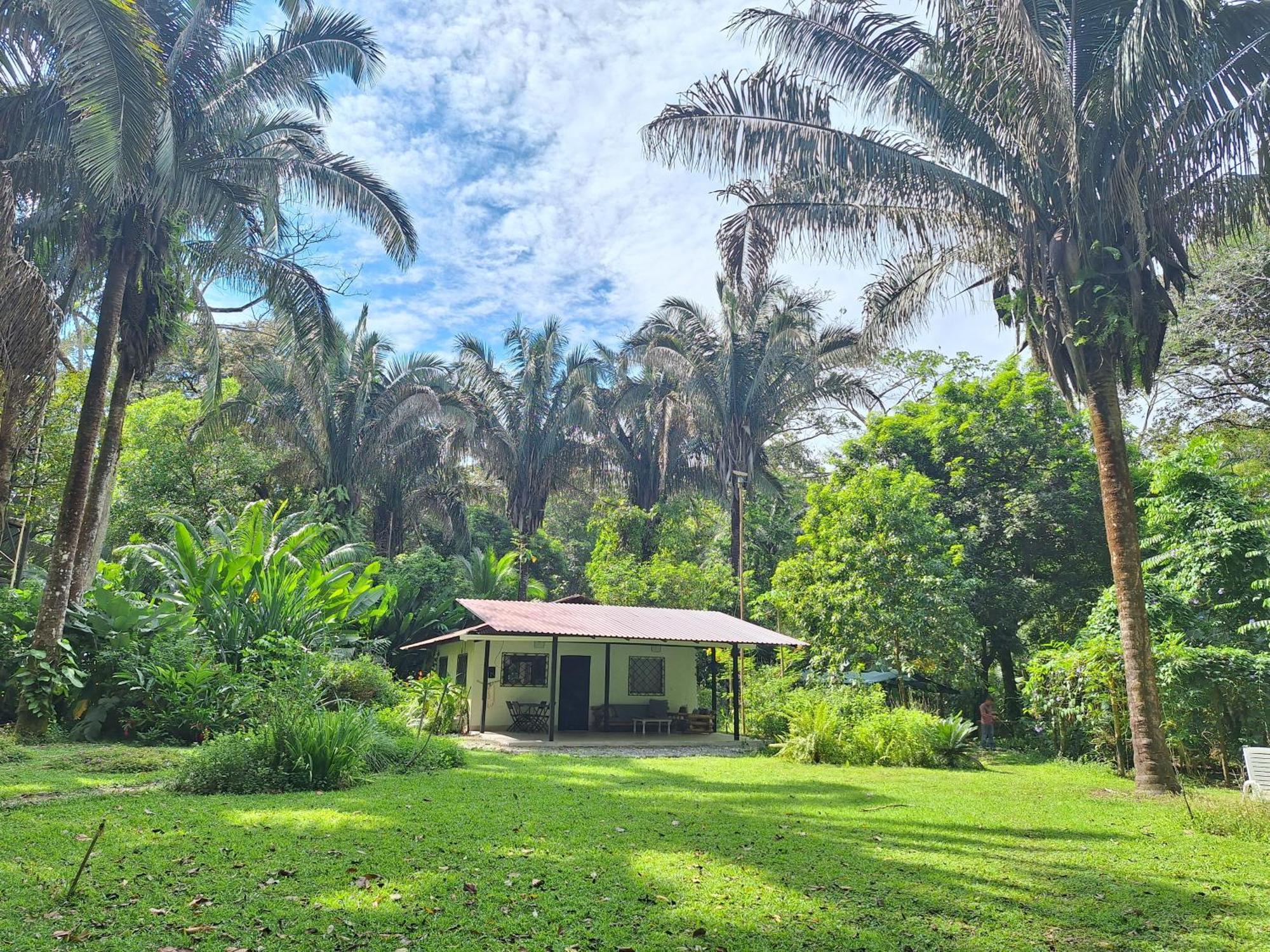 Four Monkeys Eco Lodge Jungle & Beach - The House Cabo Matapalo المظهر الخارجي الصورة