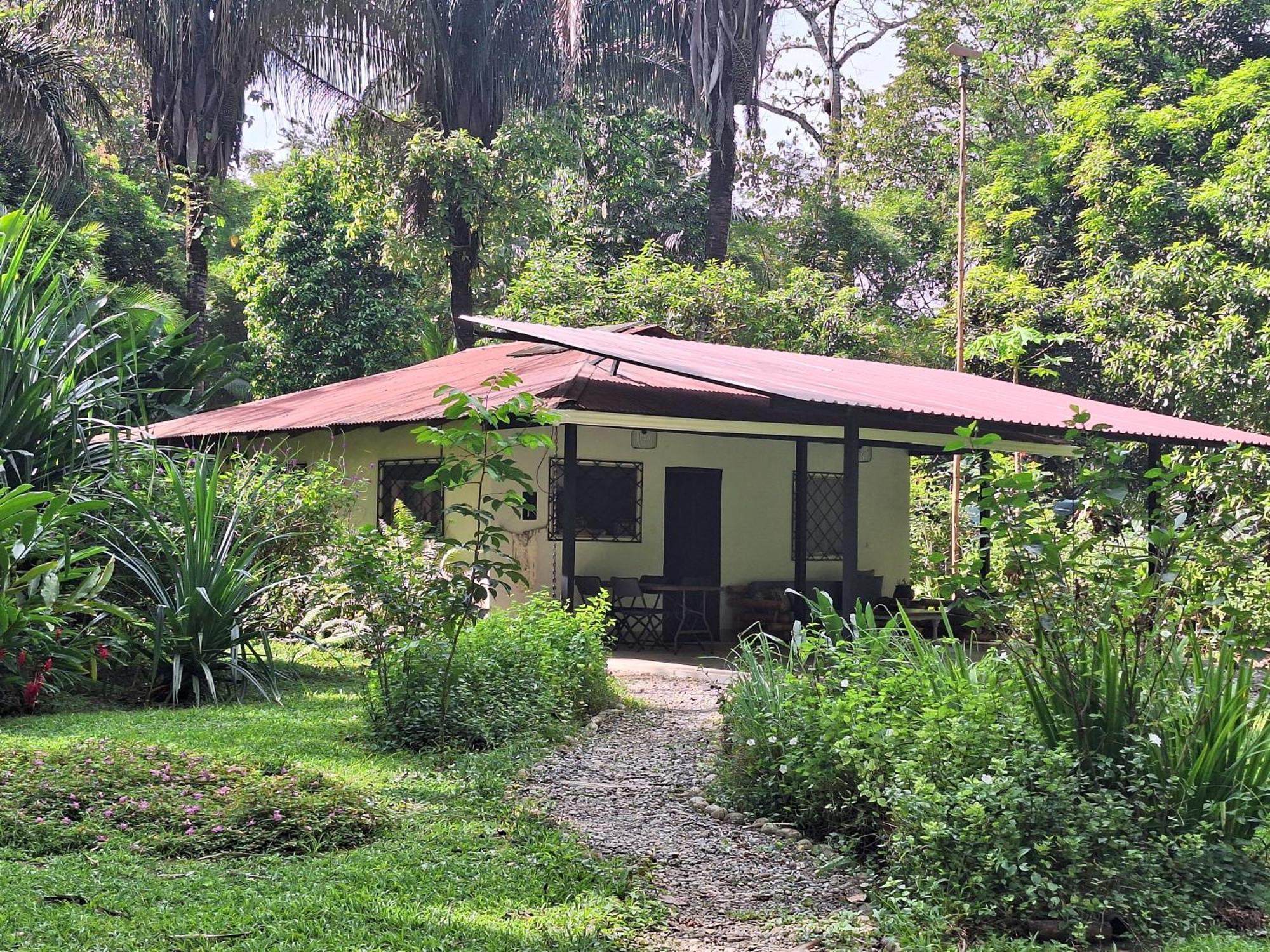 Four Monkeys Eco Lodge Jungle & Beach - The House Cabo Matapalo المظهر الخارجي الصورة
